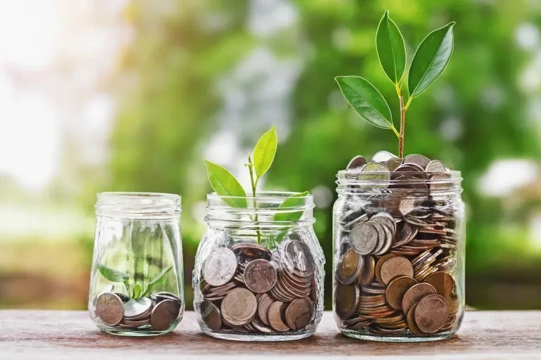 Types Of Jana Fixed Deposit Schemes Types Of Jana Fixed Deposit Schemes