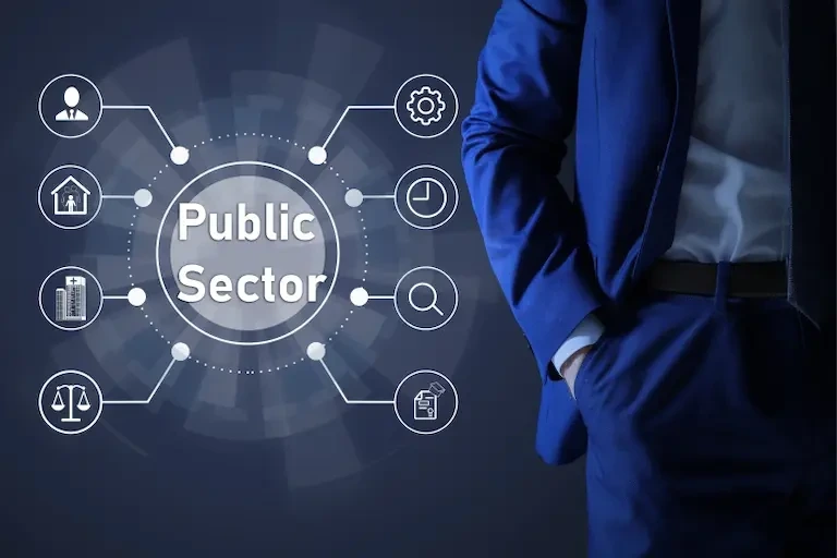 A visual representation highlighting the public sector banks crucial role in driving economic development